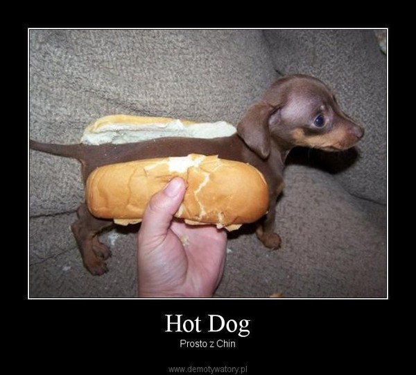 Hot Dog – Prosto z Chin 