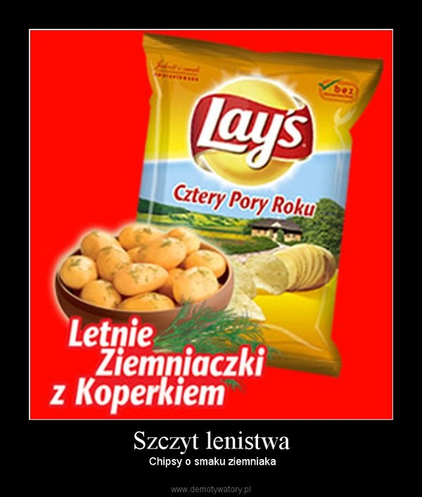 Szczyt lenistwa –  Chipsy o smaku ziemniaka 