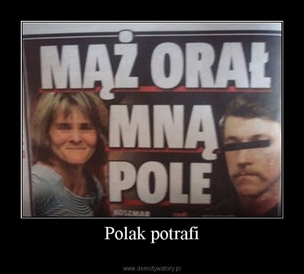 Polak potrafi –   