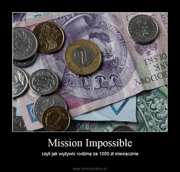 Mission Impossible – czyli jak wyżywić rodzinę za 1000 zł miesięcznie 