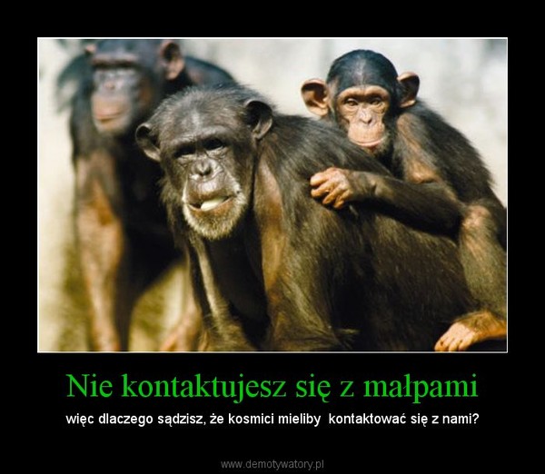 Nie kontaktujesz się z małpami