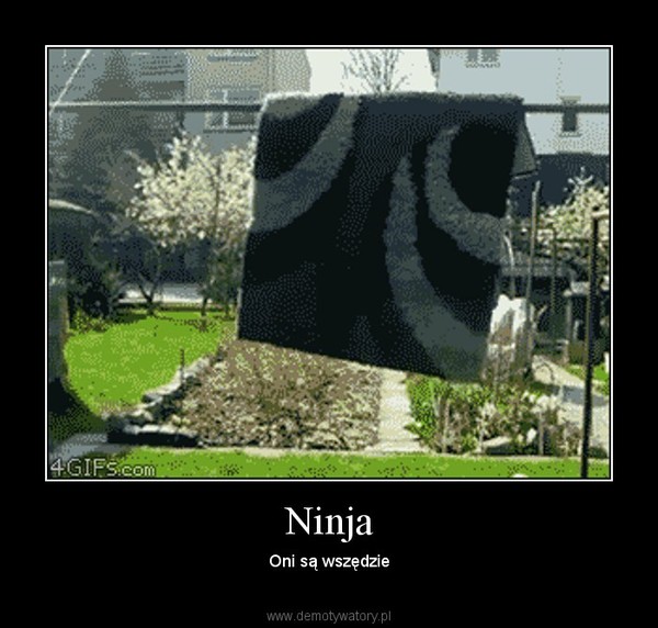 Ninja – Oni są wszędzie 