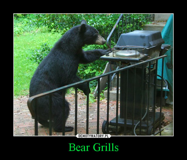 Bear Grills –  