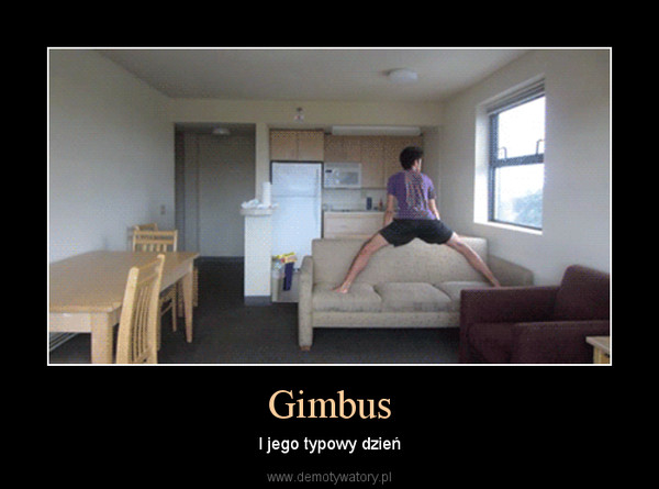 Gimbus – I jego typowy dzień 
