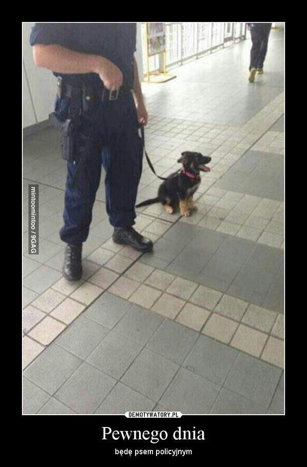 Pewnego dnia – będę psem policyjnym 