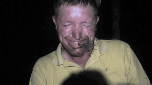 A więc mówisz, że boisz się robaków? –  