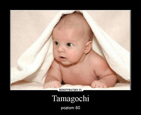 Tamagochi – poziom 80 