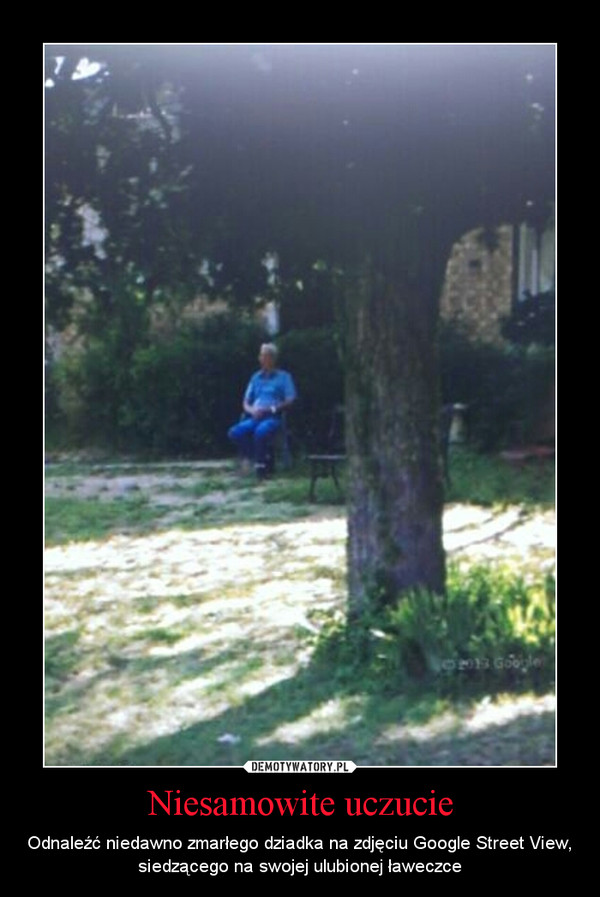 Niesamowite uczucie – Odnaleźć niedawno zmarłego dziadka na zdjęciu Google Street View, siedzącego na swojej ulubionej ławeczce 