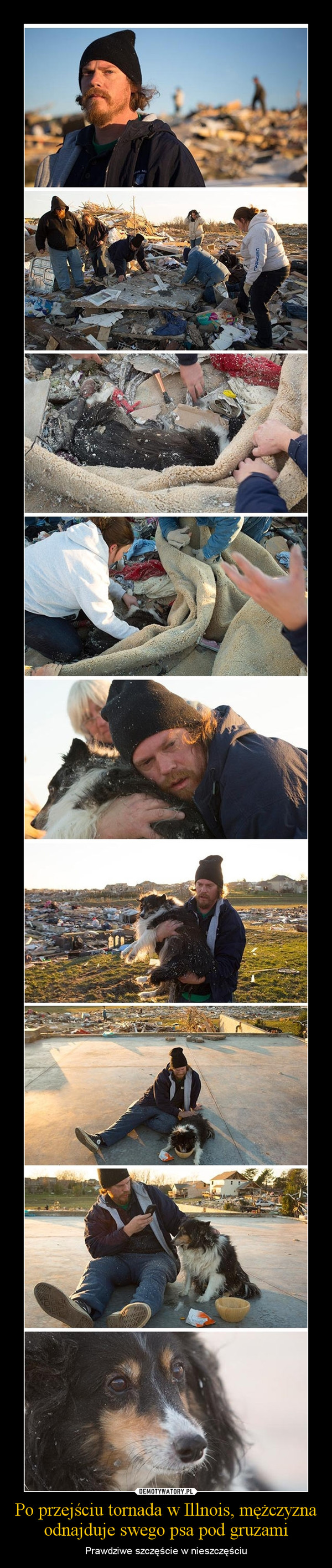 Po przejściu tornada w Illnois, mężczyzna odnajduje swego psa pod gruzami – Prawdziwe szczęście w nieszczęściu 