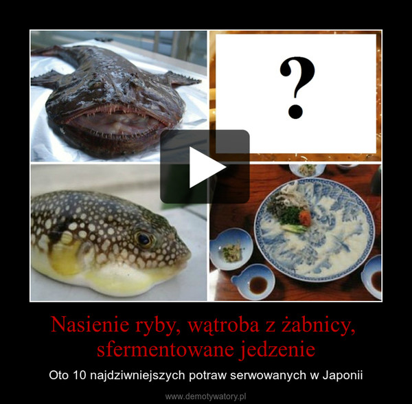 Nasienie ryby, wątroba z żabnicy, sfermentowane jedzenie – Oto 10 najdziwniejszych potraw serwowanych w Japonii 