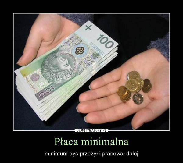 Płaca minimalna – minimum byś przeżył i pracował dalej 