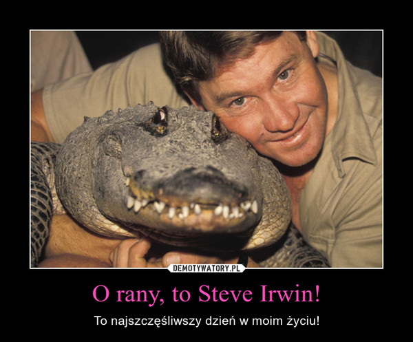 O rany, to Steve Irwin! – To najszczęśliwszy dzień w moim życiu! 