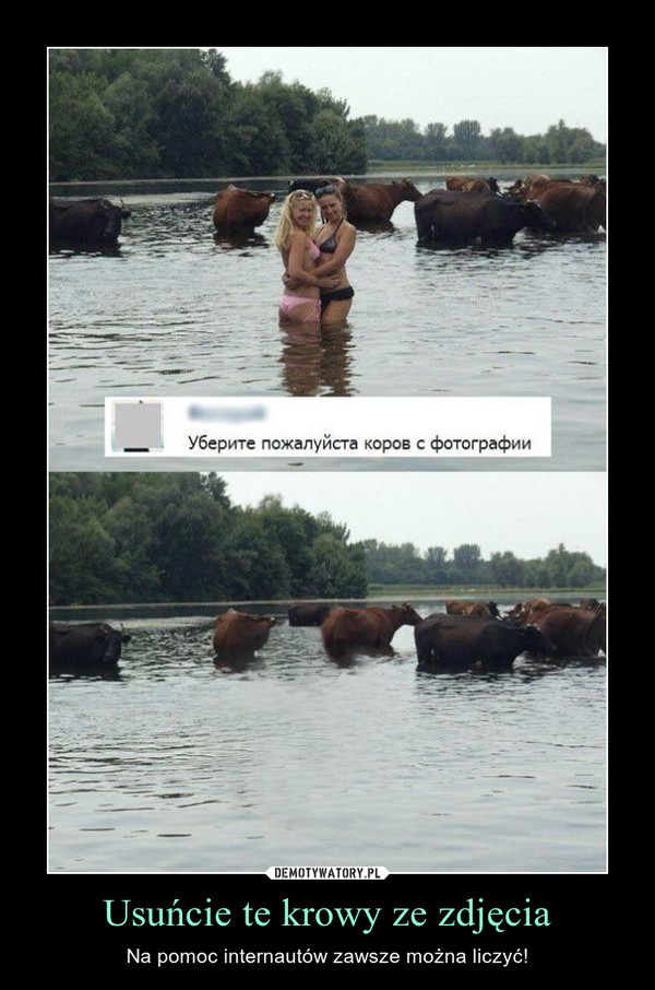 Usuńcie te krowy ze zdjęcia