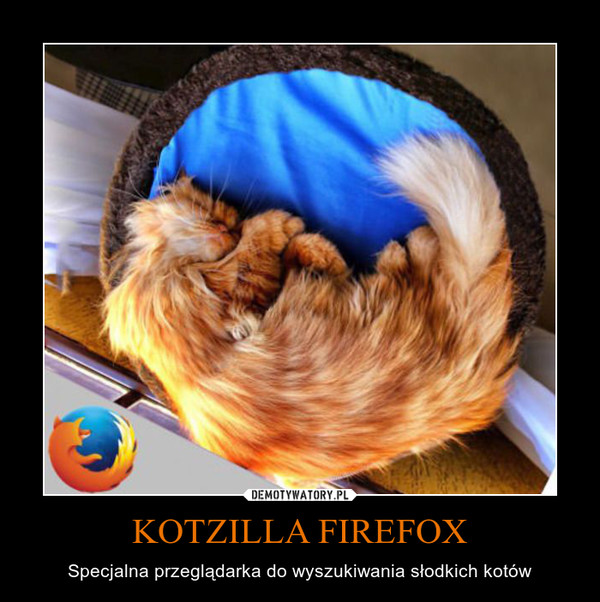 KOTZILLA FIREFOX – Specjalna przeglądarka do wyszukiwania słodkich kotów 