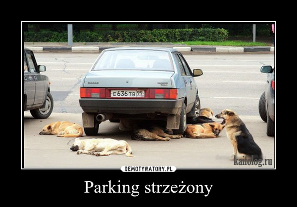Parking strzeżony –  