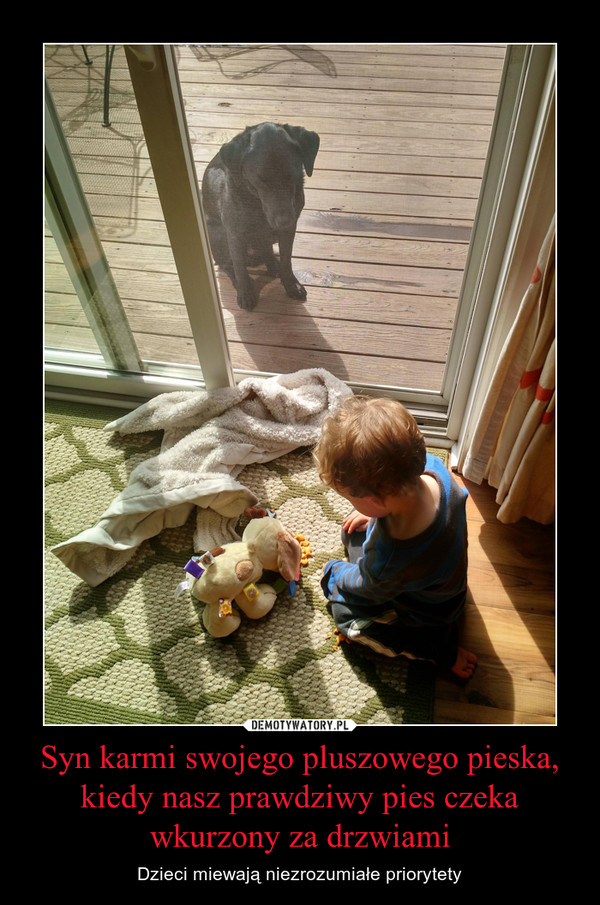 Syn karmi swojego pluszowego pieska, kiedy nasz prawdziwy pies czeka wkurzony za drzwiami – Dzieci miewają niezrozumiałe priorytety 