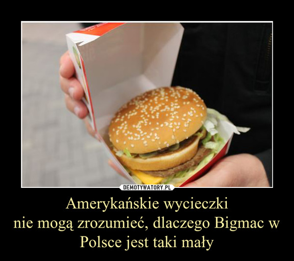 Amerykańskie wycieczkinie mogą zrozumieć, dlaczego Bigmac w Polsce jest taki mały –  