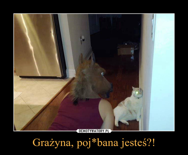 Grażyna, poj*bana jesteś?! –  
