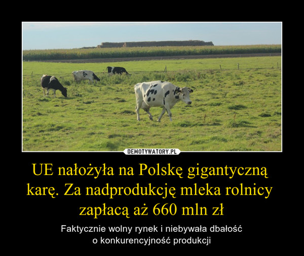 UE nałożyła na Polskę gigantyczną karę. Za nadprodukcję mleka rolnicy zapłacą aż 660 mln zł – Faktycznie wolny rynek i niebywała dbałośćo konkurencyjność produkcji 