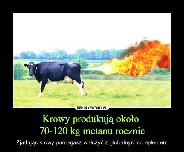 Krowy produkują około 70-120 kg metanu rocznie – Zjadając krowy pomagasz walczyć z globalnym ociepleniem 