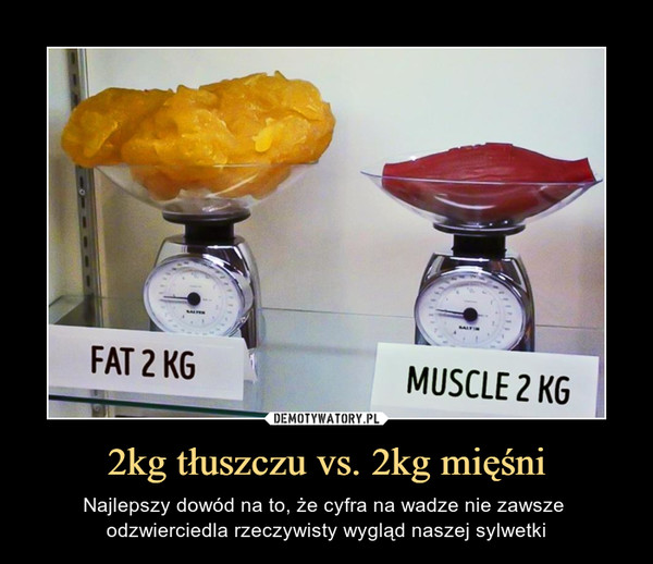 2kg tłuszczu vs. 2kg mięśni