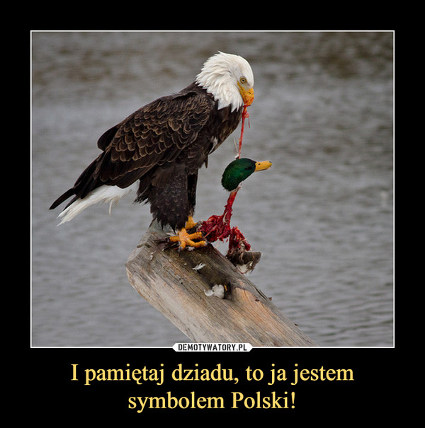 I pamiętaj dziadu, to ja jestem symbolem Polski!