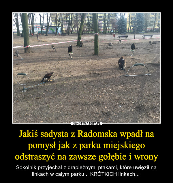 Jakiś sadysta z Radomska wpadł na pomysł jak z parku miejskiego odstraszyć na zawsze gołębie i wrony