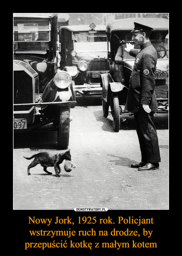 Nowy Jork, 1925 rok. Policjant wstrzymuje ruch na drodze, by przepuścić kotkę z małym kotem –  