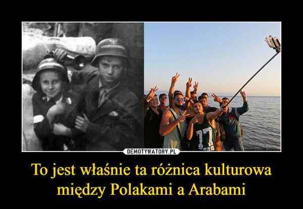 To jest właśnie ta różnica kulturowa między Polakami a Arabami –  