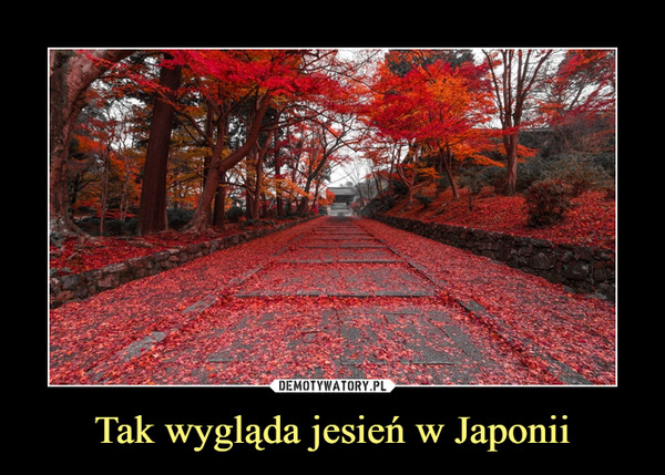 Tak wygląda jesień w Japonii –  