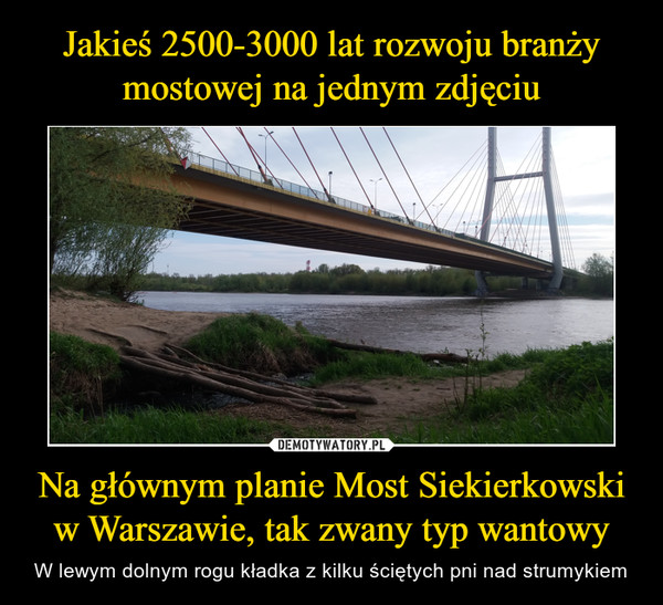 Na głównym planie Most Siekierkowski w Warszawie, tak zwany typ wantowy – W lewym dolnym rogu kładka z kilku ściętych pni nad strumykiem 