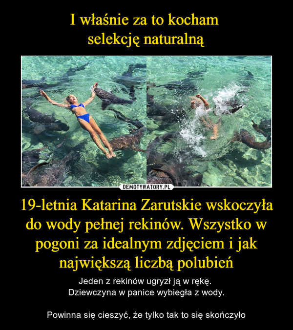19-letnia Katarina Zarutskie wskoczyła do wody pełnej rekinów. Wszystko w pogoni za idealnym zdjęciem i jak największą liczbą polubień – Jeden z rekinów ugryzł ją w rękę. Dziewczyna w panice wybiegła z wody.Powinna się cieszyć, że tylko tak to się skończyło 