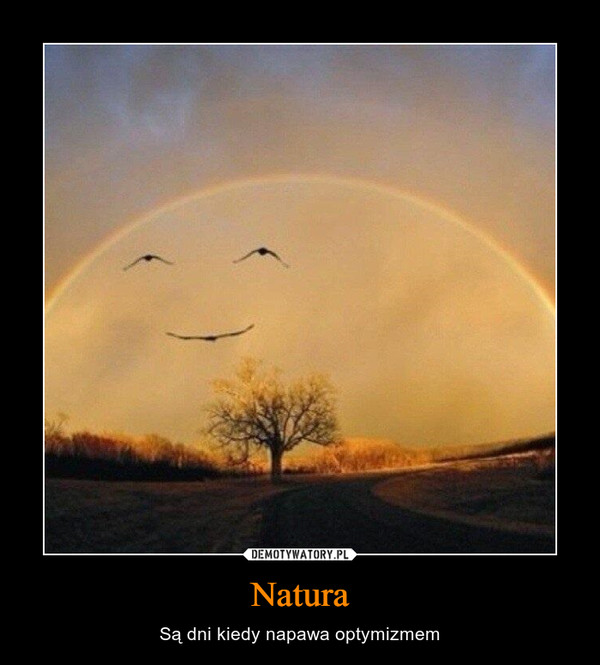 Natura – Są dni kiedy napawa optymizmem 