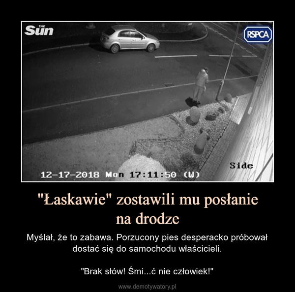 "Łaskawie" zostawili mu posłaniena drodze – Myślał, że to zabawa. Porzucony pies desperacko próbował dostać się do samochodu właścicieli."Brak słów! Śmi...ć nie człowiek!" 