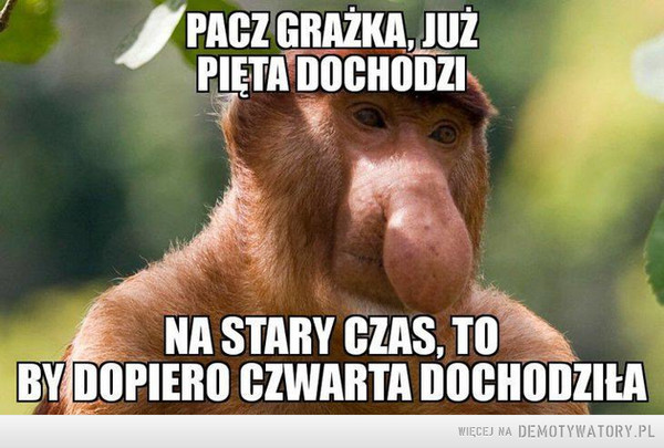 Zmiana czasu –  pacz grażynka już pięta dochodzina stary czas to by dopiero czwarta dochodziła