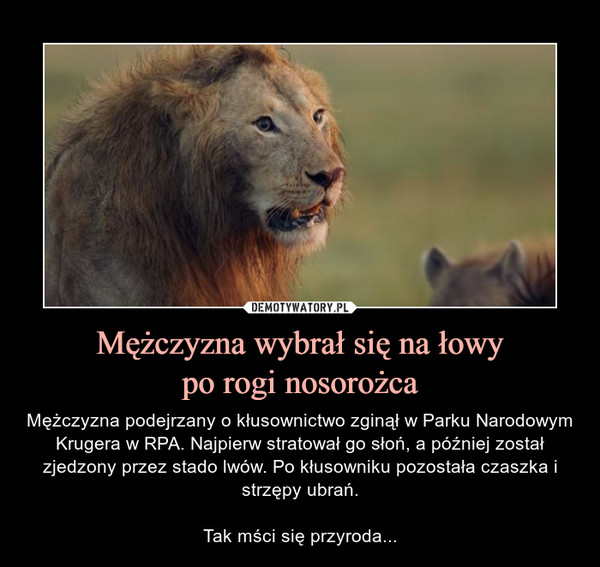 Mężczyzna wybrał się na łowypo rogi nosorożca – Mężczyzna podejrzany o kłusownictwo zginął w Parku Narodowym Krugera w RPA. Najpierw stratował go słoń, a później został zjedzony przez stado lwów. Po kłusowniku pozostała czaszka i strzępy ubrań.Tak mści się przyroda... 