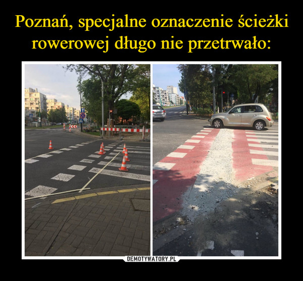 Poznań, specjalne oznaczenie ścieżki rowerowej długo nie przetrwało: