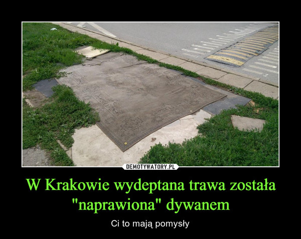 W Krakowie wydeptana trawa została "naprawiona" dywanem