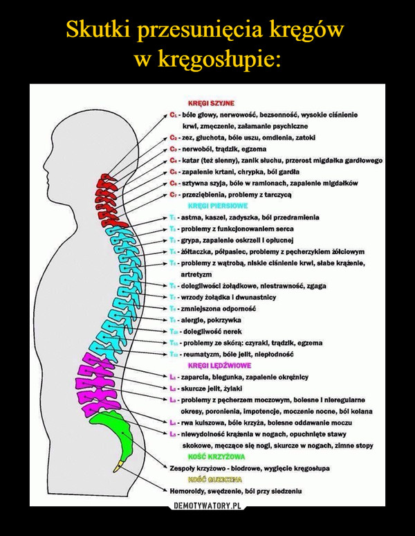  –  KREGI SZYJNEC-bóle gtowy, nerwowość, bezsenność, wysokie cisnieniekrwl, zmęczenle, załamanle psychlczneCa-zez, głuchota, bóle uszu, omdlenia, zatokiC-nerwoból, trądzlk, egzemaC-katar (też slenny), zanlk słuchu, przerost migdalka gardłowegoC-zapalenie krtani, chrypka, ból gardłaCe-sztywna szyla, bóle w ramlonach, zapalenle mlgdalkówCr-przeziębienia, problemy z tarczycąKREGI PIERSIOWET-astma, kaszel, zadyszka, ból przedramieniaT-problemy z funkcjonowanlem sercaTs-grypa, zapalenle oskrzell I oplucnejT-óttaczka, pólpasiec, problemy z pęcherzykiem zólciowymTs-problemy z wątrobą, nlskle ciśnlenle krwl, słabe krąenle,artretyzmTs-doleglwoścl żołądkowe, nlestrawność, zgagaTr-wrzody żołądka i dwunastnicyTe-zmnielszona odpornośćT-alergle, pokrzywkaTo-dolegliwość nerekTis problemy ze skórą: czyraki, trądzlk, egzemaT reumatyzm, bóle jelit, nieptodnośćKREGI LEDZWIOWELi-zaparcla, blegunka, zapalenle okreżnleyL-skurcze jelit, żylakia- problemy z pęcherzem moczowym, bolesne I nleregularneokresy, poronienia, impotencje, moczenie nocne, ból kolanaL-rwa kulszowa, bóle krzyża, bolesne oddawanie moczuLs-nlewydolność krążenla w nogach, opuchnlete stawyskokowe, meczące się nogi, skurcze w nogach, zimne stopyKOŚC KRZYŻOWAZespoly krzyżowo - biodrowe, wygięcie kręgosłupaKOSČ QUZICZNAHemoroldy, swędzenie, ból przy siedzeniu