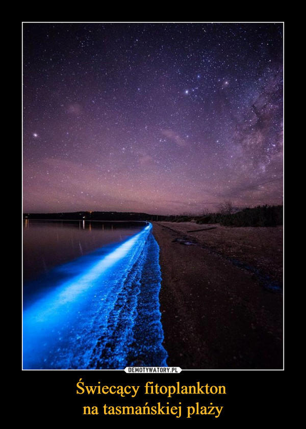 Świecący fitoplankton 
na tasmańskiej plaży