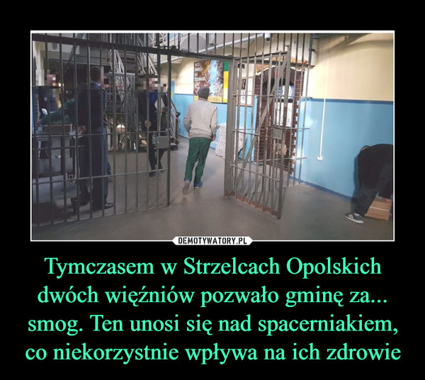 Tymczasem w Strzelcach Opolskich dwóch więźniów pozwało gminę za... smog. Ten unosi się nad spacerniakiem, co niekorzystnie wpływa na ich zdrowie –  