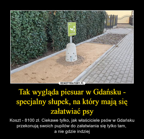 Tak wygląda piesuar w Gdańsku - specjalny słupek, na który mają się załatwiać psy