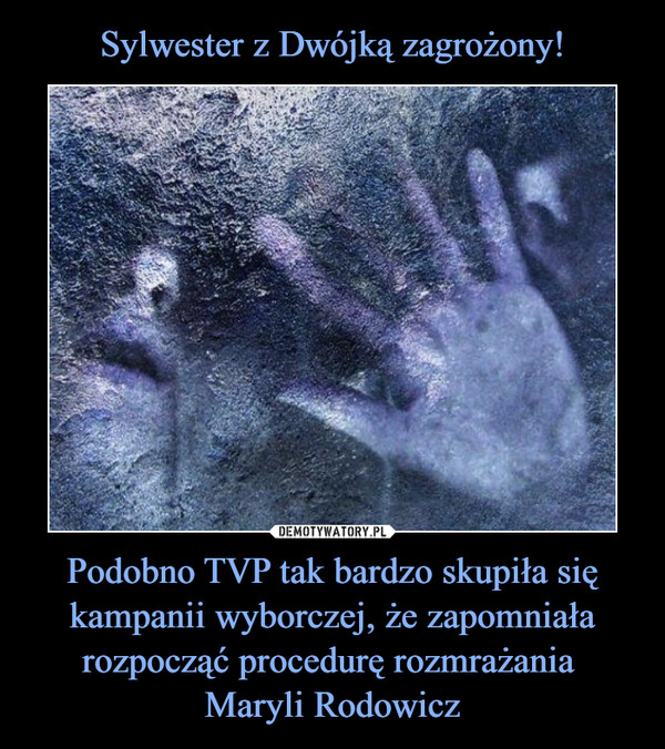 Podobno TVP tak bardzo skupiła się kampanii wyborczej, że zapomniała rozpocząć procedurę rozmrażania Maryli Rodowicz –  