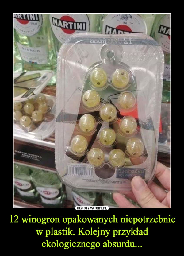 12 winogron opakowanych niepotrzebnie w plastik. Kolejny przykład ekologicznego absurdu... –  