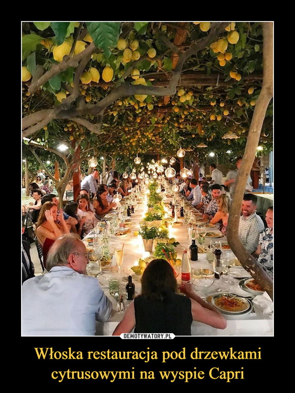 Włoska restauracja pod drzewkami cytrusowymi na wyspie Capri –  