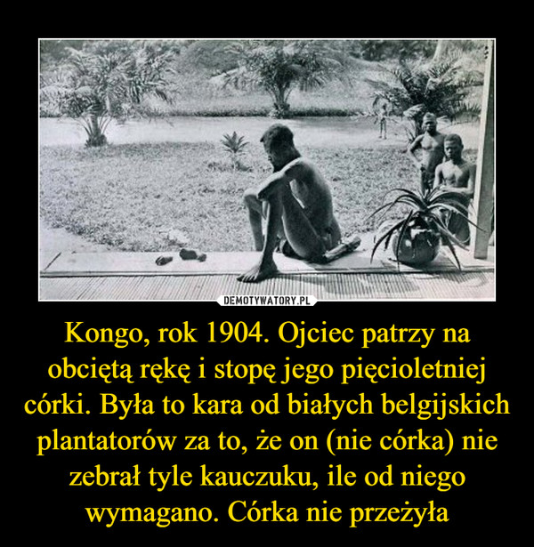 Kongo, rok 1904. Ojciec patrzy na obciętą rękę i stopę jego pięcioletniej córki. Była to kara od białych belgijskich plantatorów za to, że on (nie córka) nie zebrał tyle kauczuku, ile od niego wymagano. Córka nie przeżyła –  