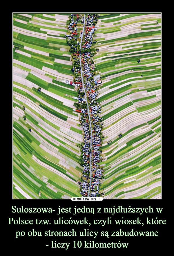 Suloszowa- jest jedną z najdłuższych w Polsce tzw. ulicówek, czyli wiosek, które po obu stronach ulicy są zabudowane
- liczy 10 kilometrów