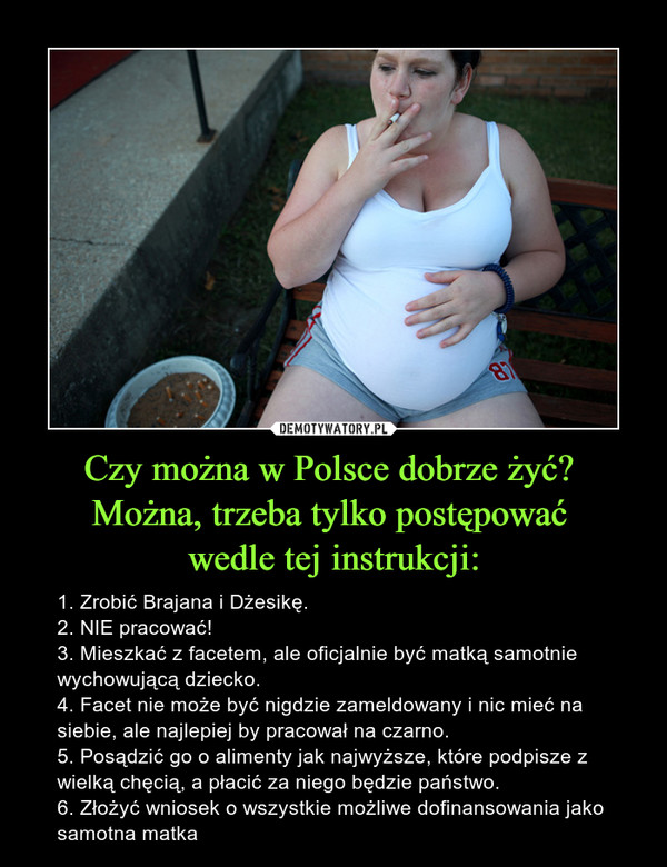 Czy można w Polsce dobrze żyć? 
Można, trzeba tylko postępować 
wedle tej instrukcji: