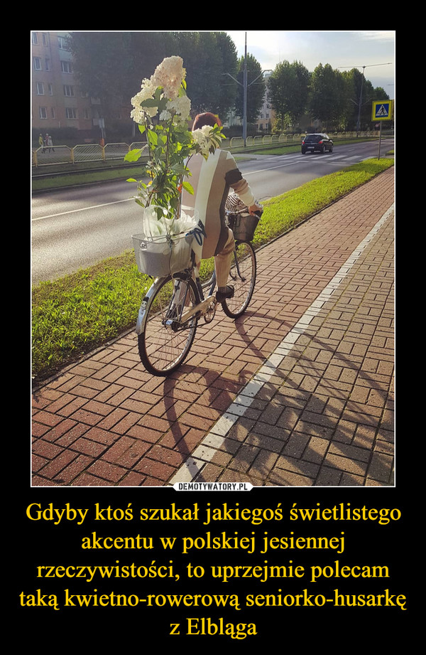 Gdyby ktoś szukał jakiegoś świetlistego akcentu w polskiej jesiennej rzeczywistości, to uprzejmie polecam taką kwietno-rowerową seniorko-husarkę z Elbląga