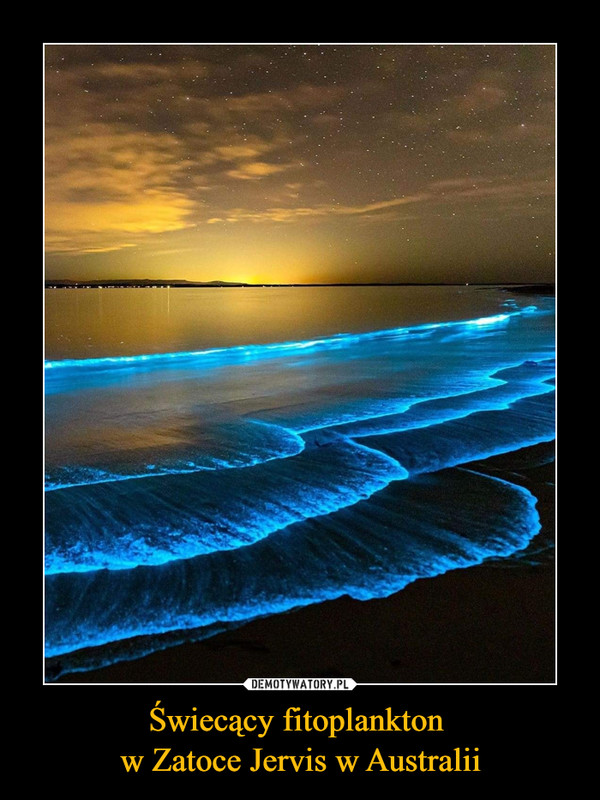 Świecący fitoplankton 
w Zatoce Jervis w Australii